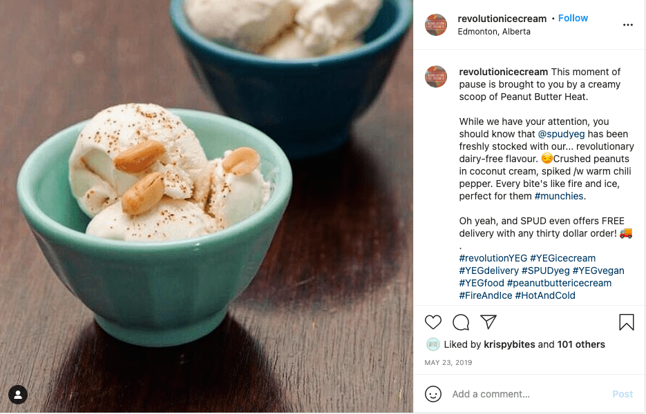 Vegan Ice Cream Edmonton