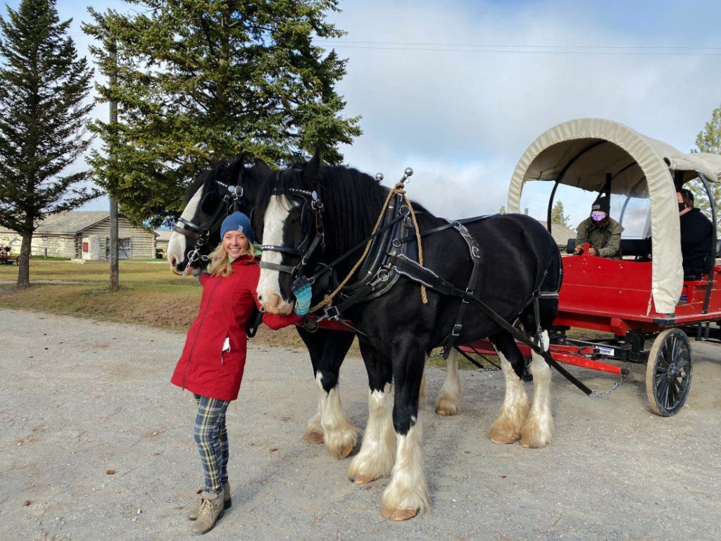 Things to do in cranbrook