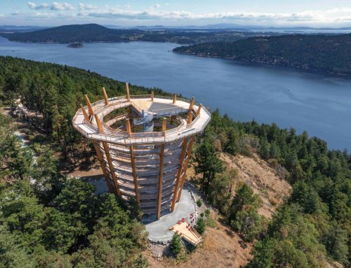 Malahat SkyWalk: Everything you need to know about this epic attraction