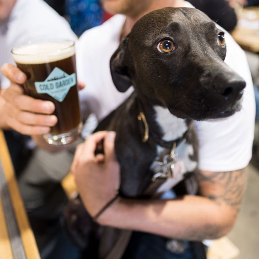 dog friendly patios calgary