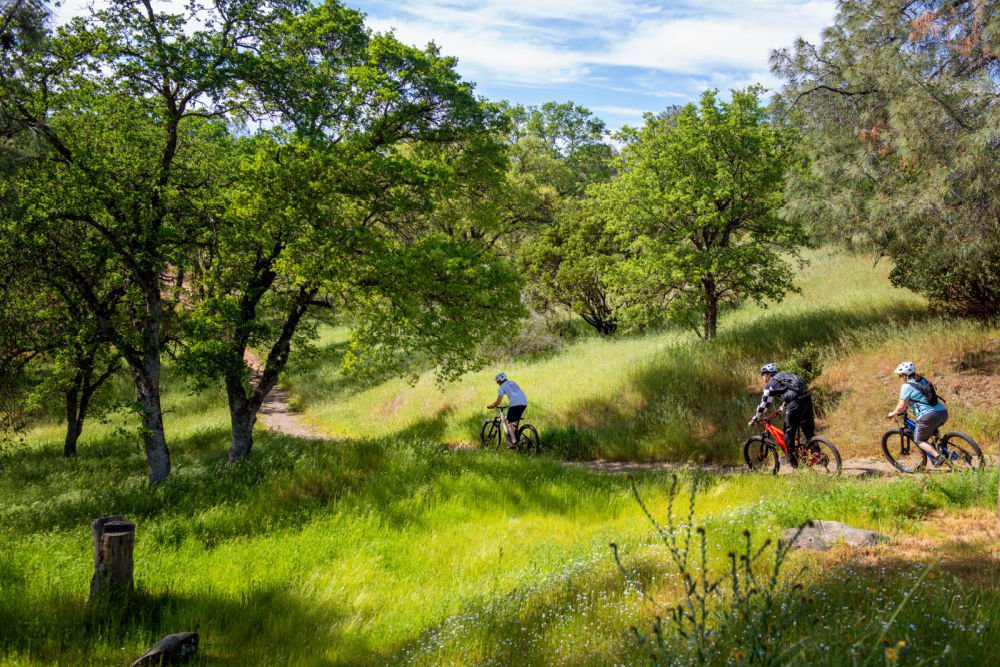 family biking california