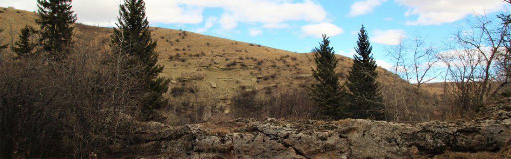 big hill springs alberta