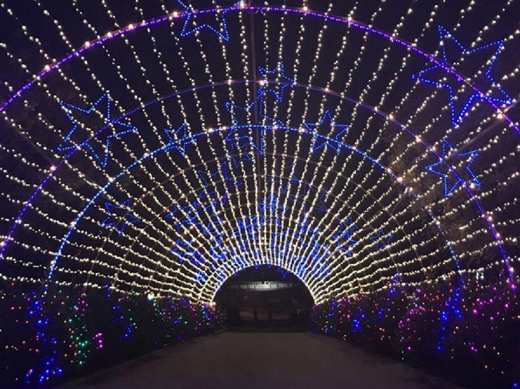 holiday lights in calgary