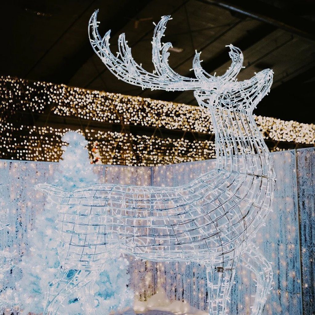 calgary science centre winter