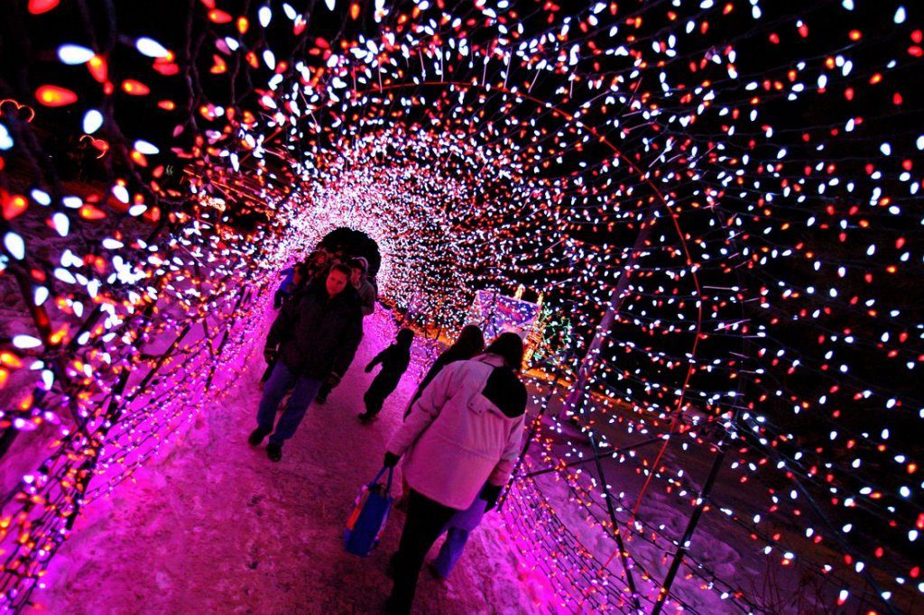 calgary zoo christmas lights