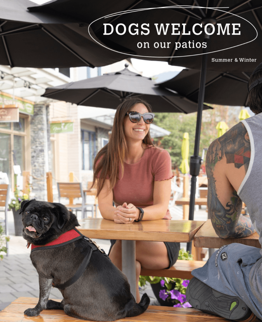 dog friendly patios banff