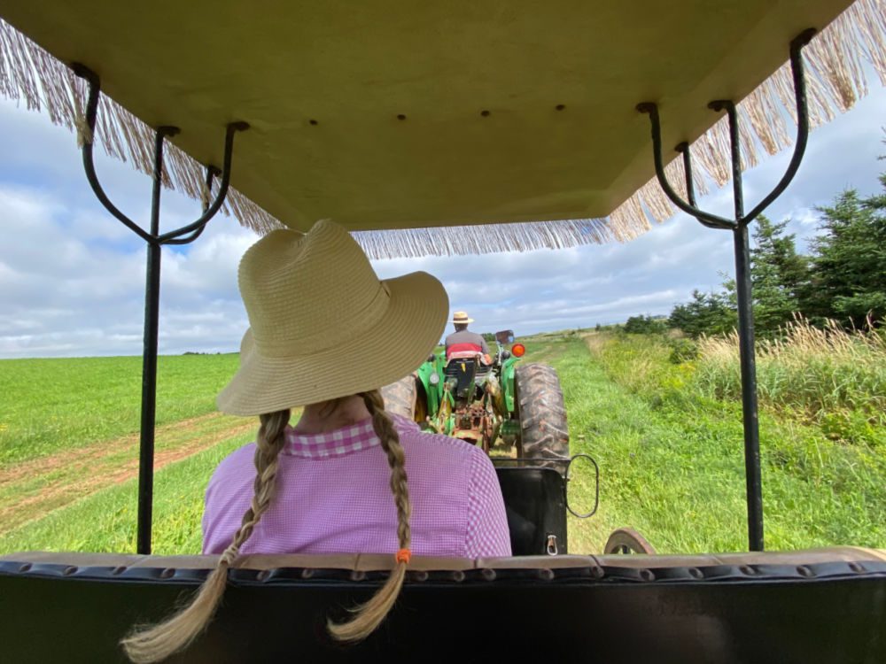 anne of green gables tour