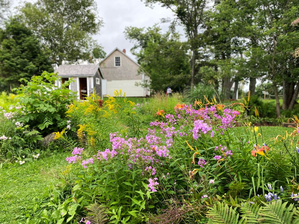 flower garden at historical village