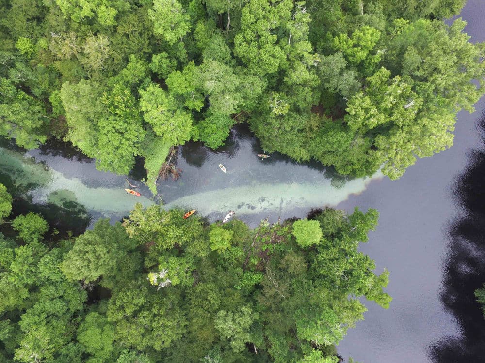 Spring Break Family Travel