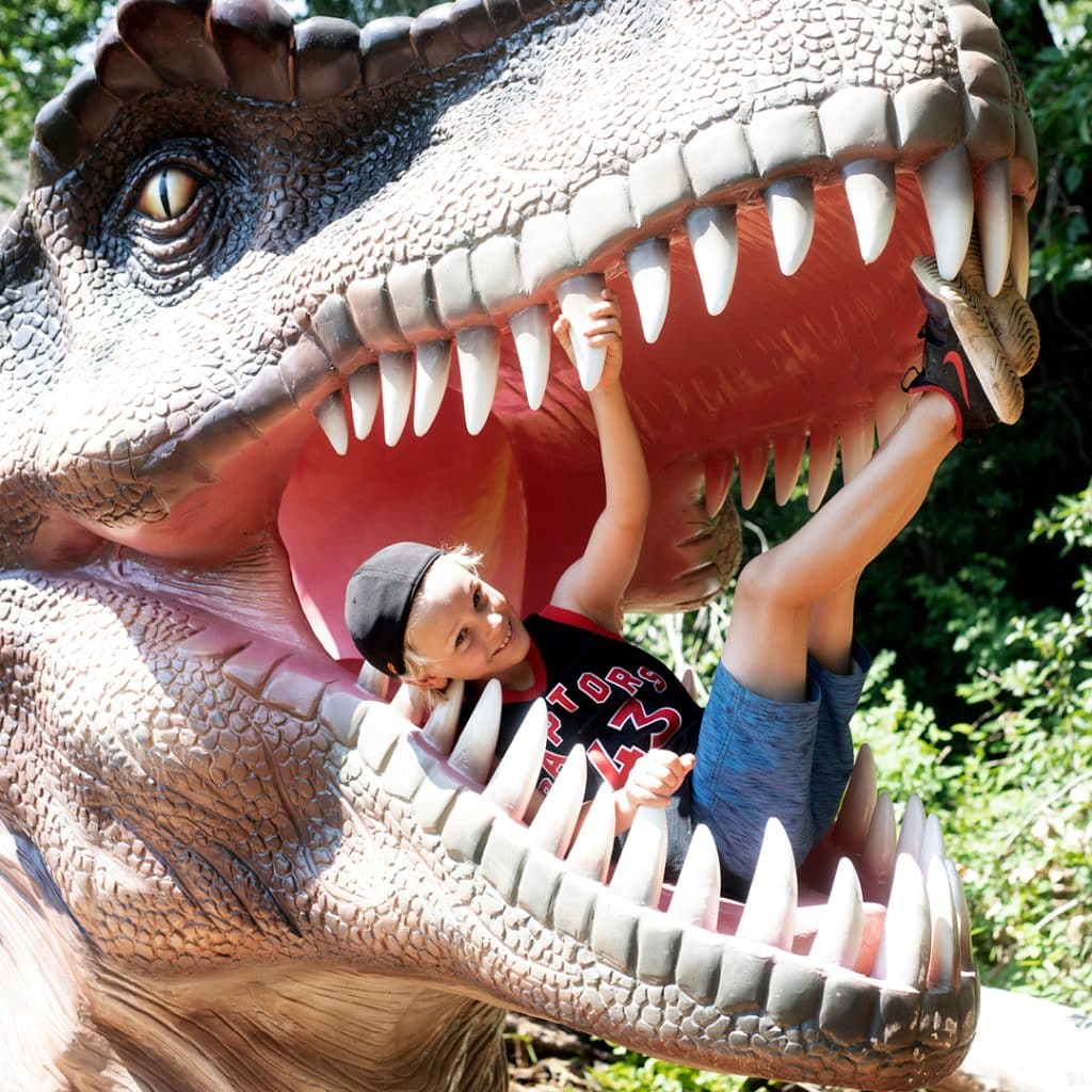 Barneys Adventure Park drumheller