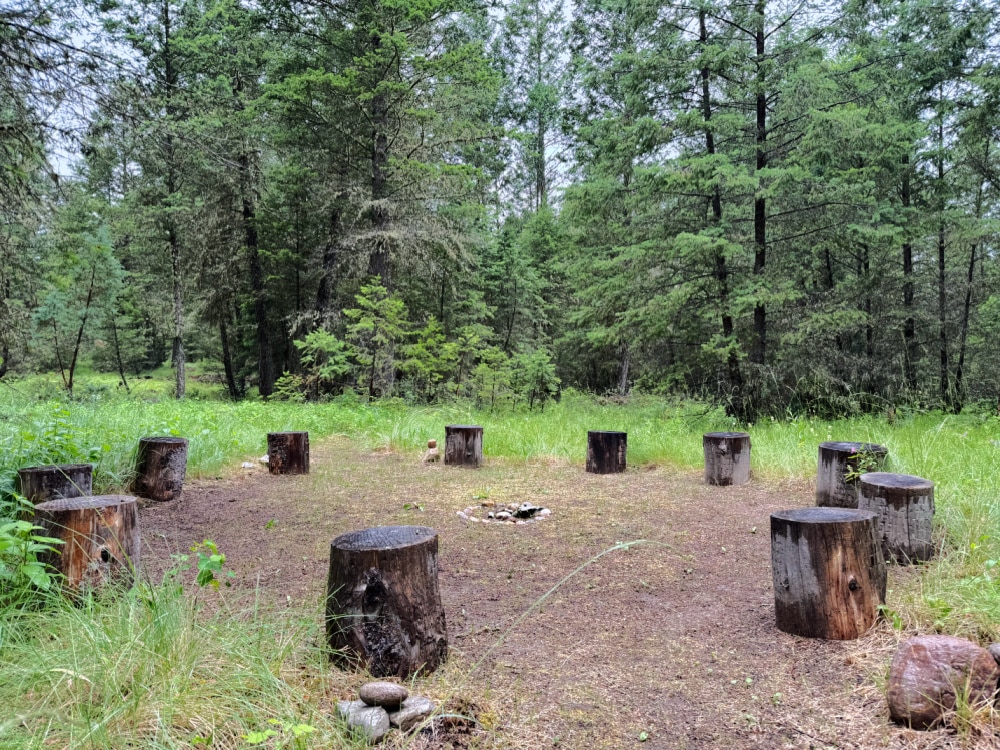 forest bathing setting 