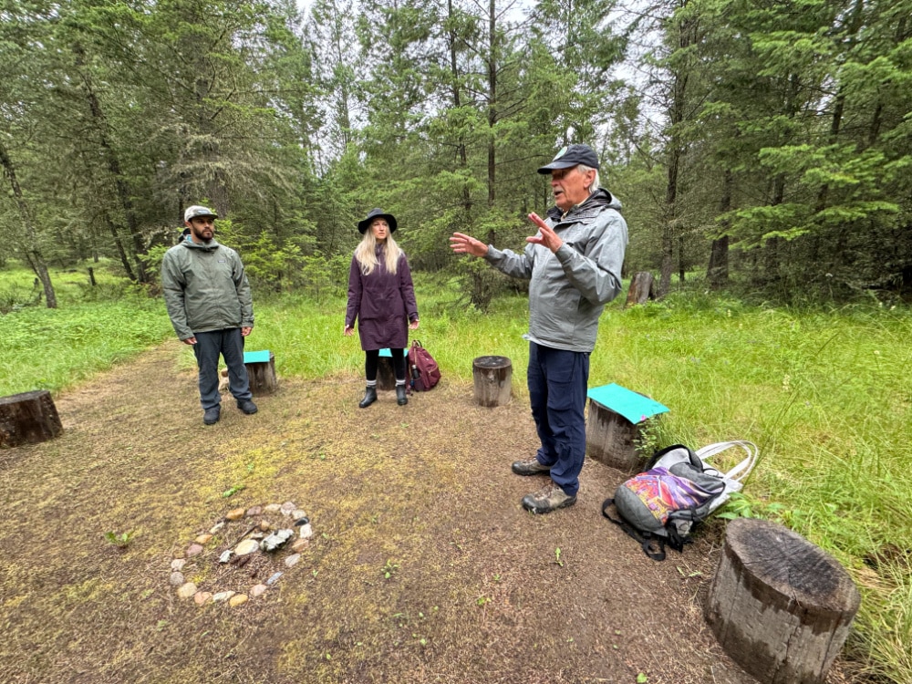 pat bavin leading forest bathing session