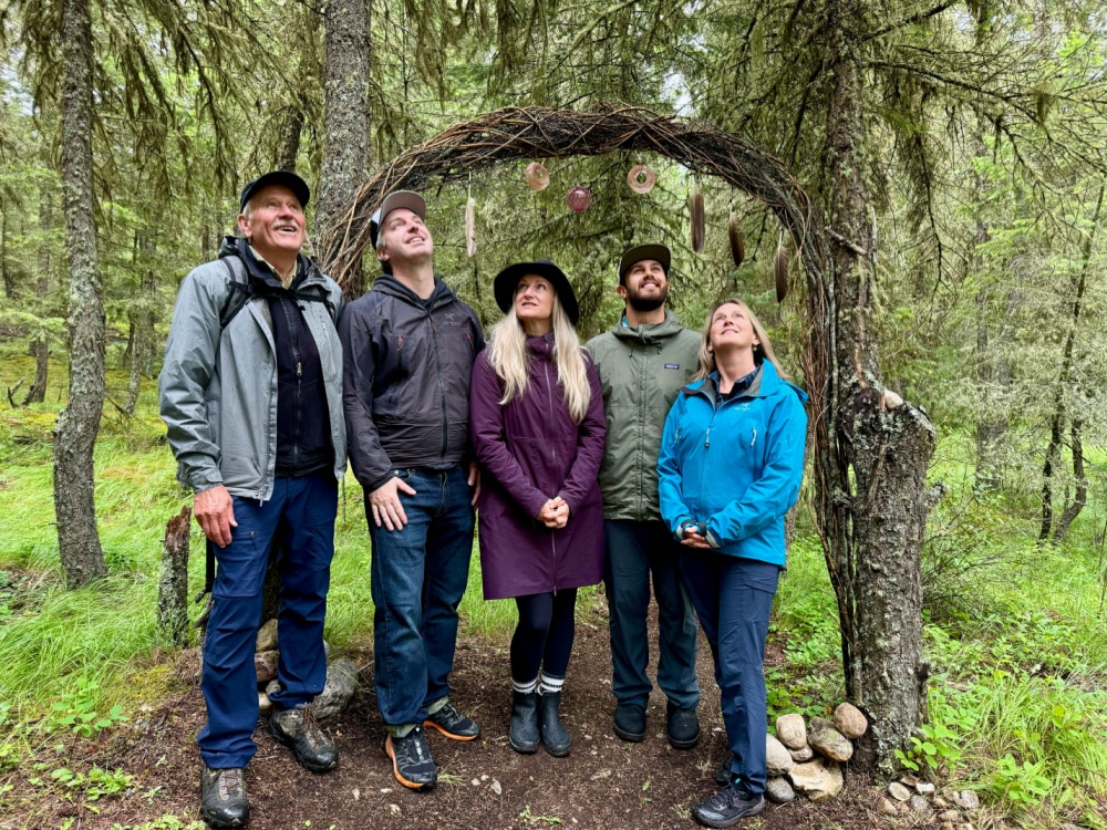 forest therapy pat bavin