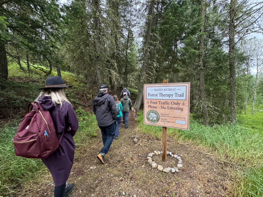 forest therapy trail 