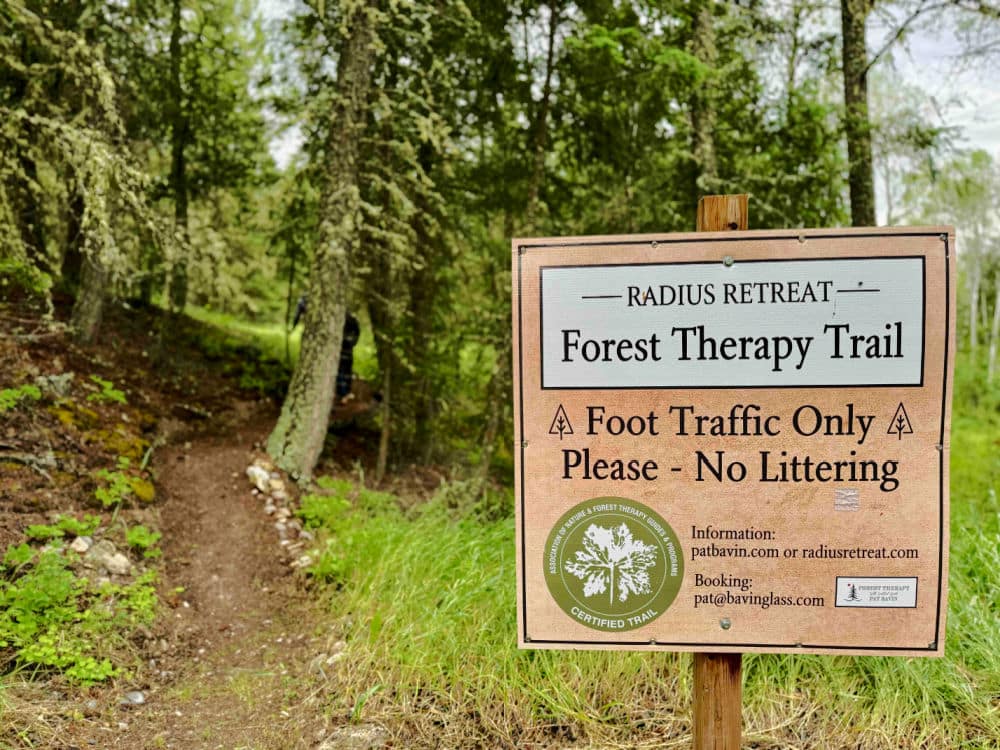 radium bc forest bathing