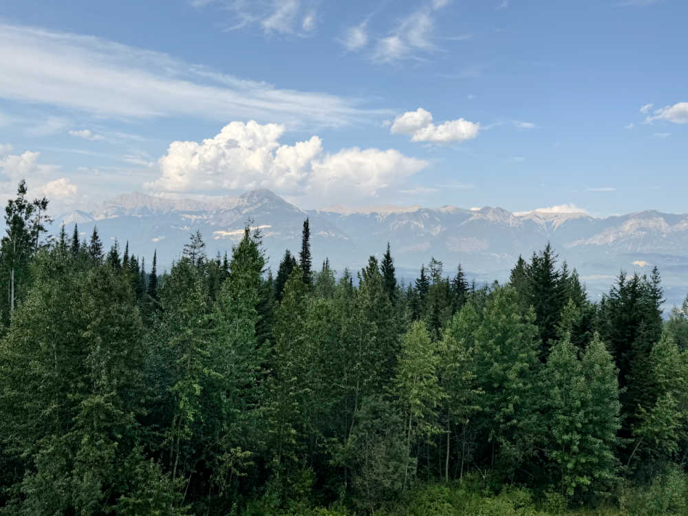 kicking horse lodging