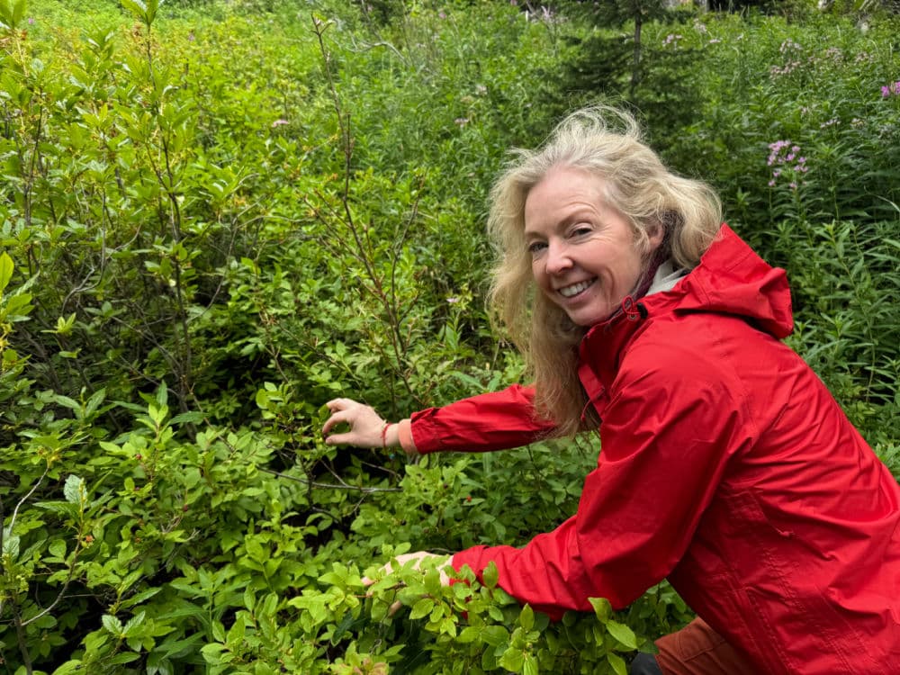 huckleberries fernie