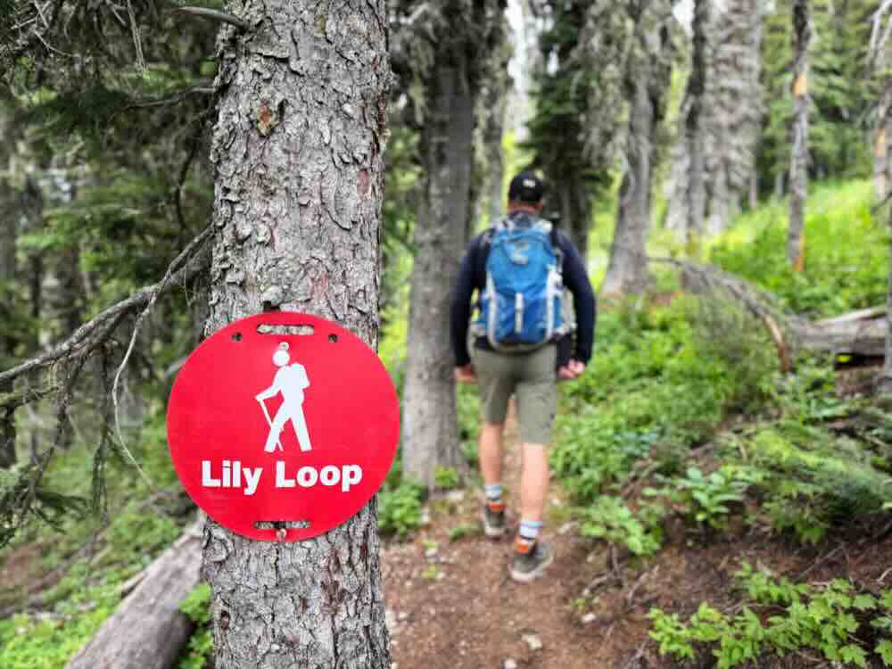 fernie guided hiking