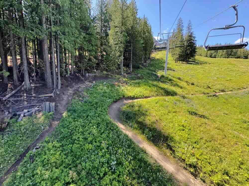 mountain biking trails fernie