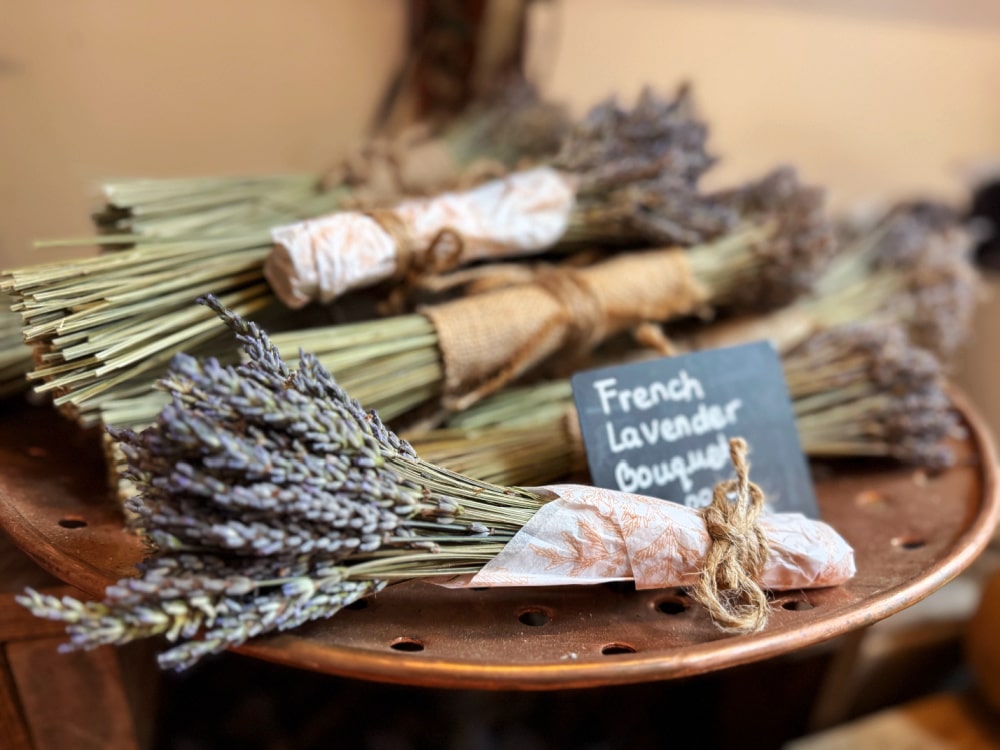 Bilston Creek Farm lavender