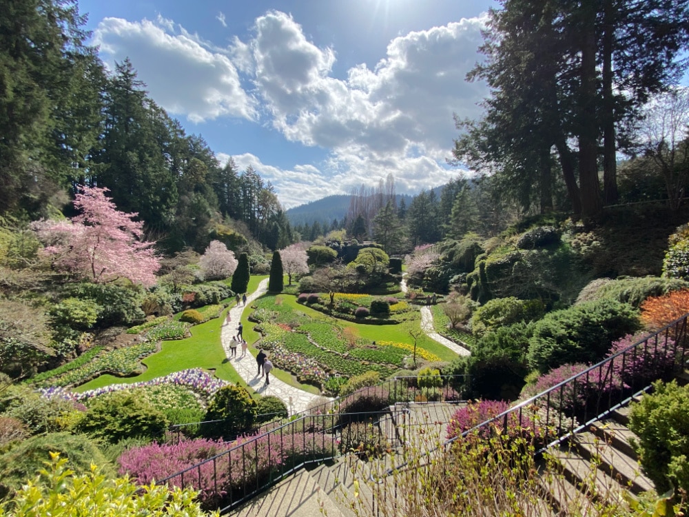 Butchart gardens spring