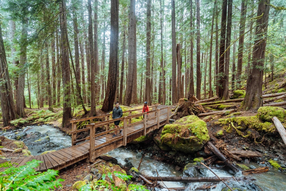 Vancouver island travel