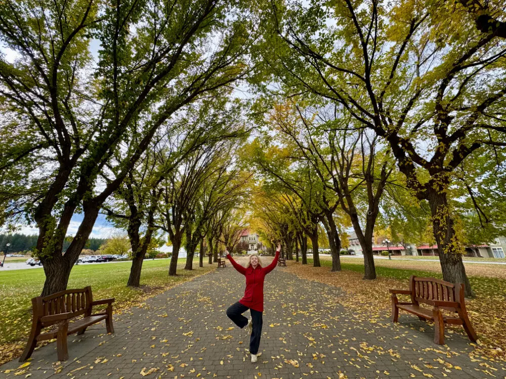 st eugene resort in autumn cranbrook BC