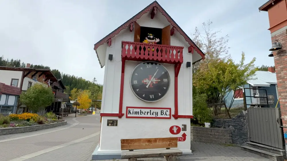 Lifesize cuckoo clock
