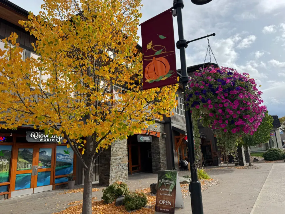 Invermere downtown autumn