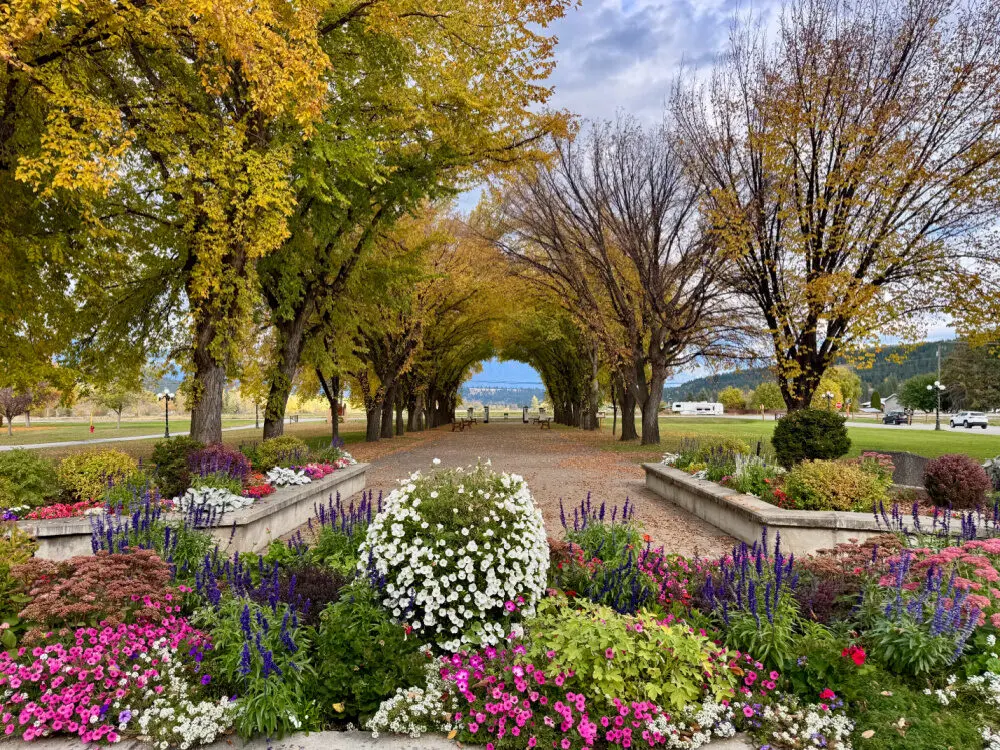 Kootenay Rockies road trip