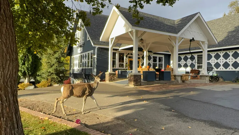 boutique hotel kimberley BC